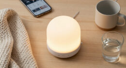 2 Best Home Night Lights In 2026