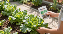 Monsanto Wins at the Supreme Court Using Big Tobacco’s Playbook
