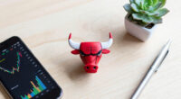 THE CHICAGO BULLS ANNOUNCE NEW MINORITY INVESTMENT BY LUKAS AND SAMANTHA WALTON