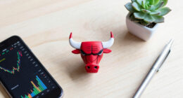 THE CHICAGO BULLS ANNOUNCE NEW MINORITY INVESTMENT BY LUKAS AND SAMANTHA WALTON