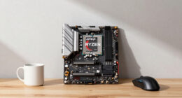 Amd